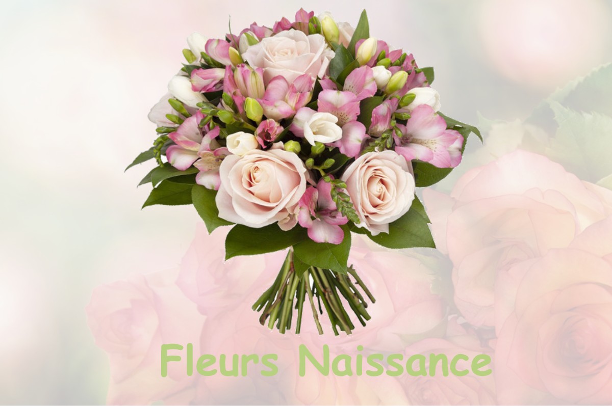 fleurs naissance SAINT-JEAN-DE-BUEGES